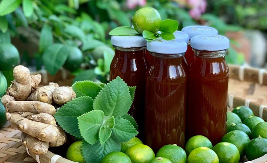 Siro húng chanh Hải Dương